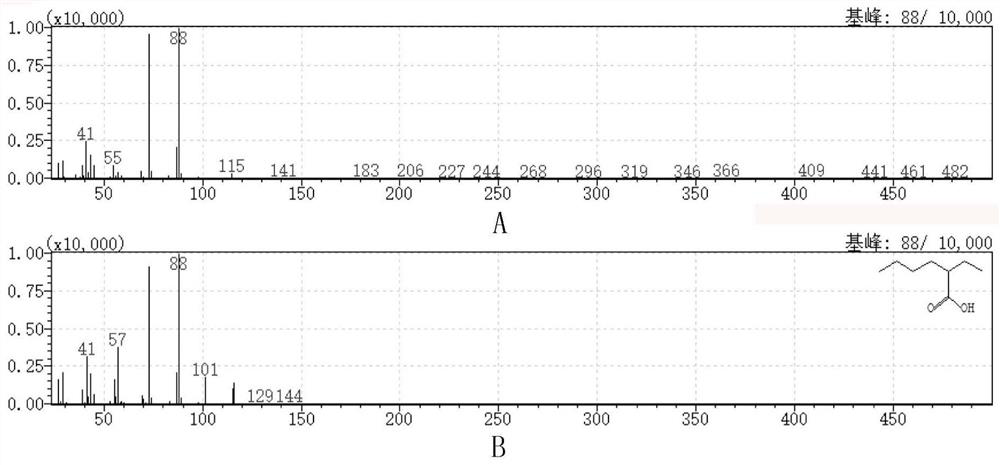 Double-branched-chain organosilicon quaternary ammonium salt as well as preparation method and application thereof