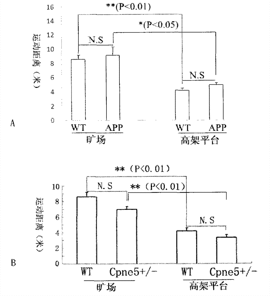 Elevated platform for detecting animal anxiety and application method thereof