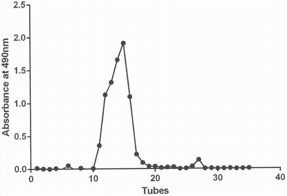 Urchin yellow polysaccharide with liver protecting function and application thereof