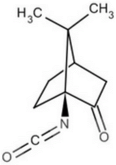 Camphor Schiff base, and preparation method and application thereof