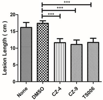 Application of phenylacrylic acid compound in prevention and/or treatment of plant diseases