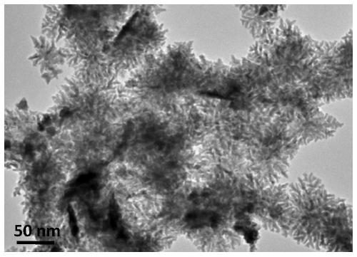 A kind of preparation method of multi-branched nano-triangular Pt catalyst functionalized with polyethyleneimine