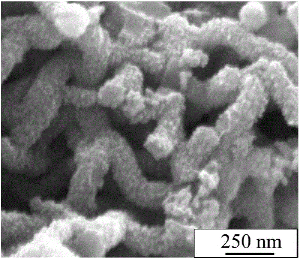 Polyaniline-doped electromagnetic shielding material with sea cucumber shape and preparation method thereof