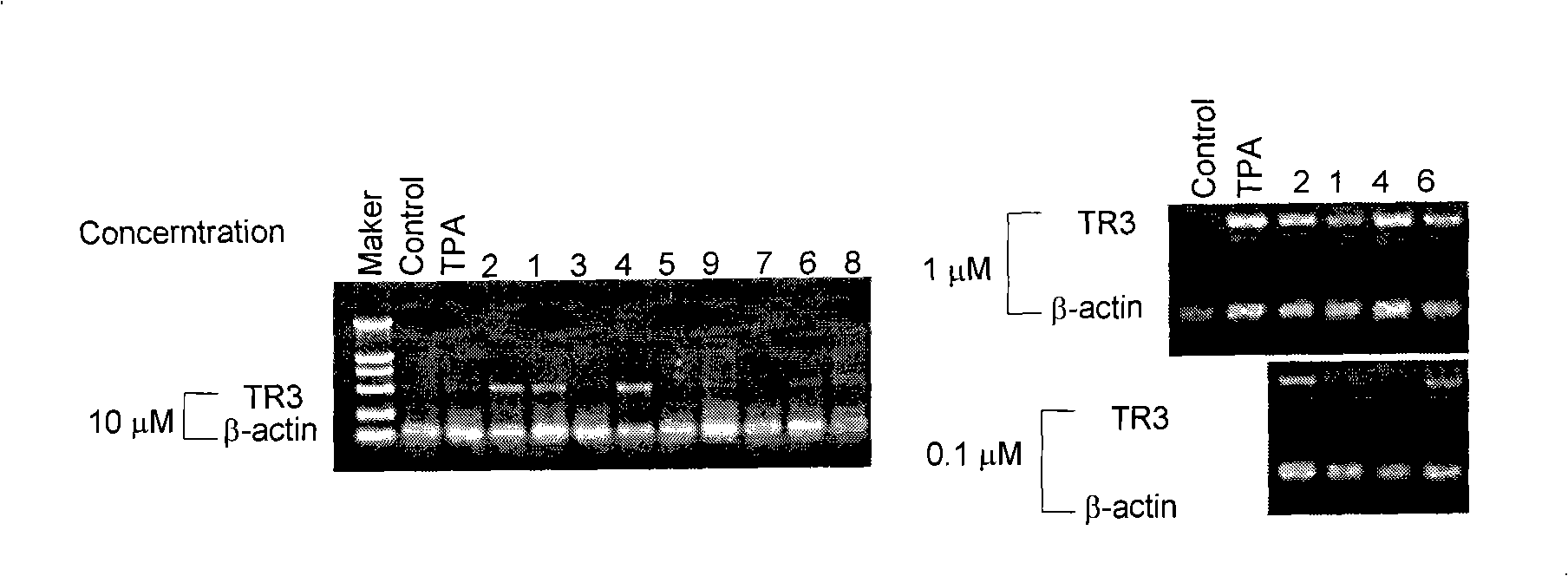 Induced nuclear receptor TR3 expressed cardiac glycoside compounds and use thereof