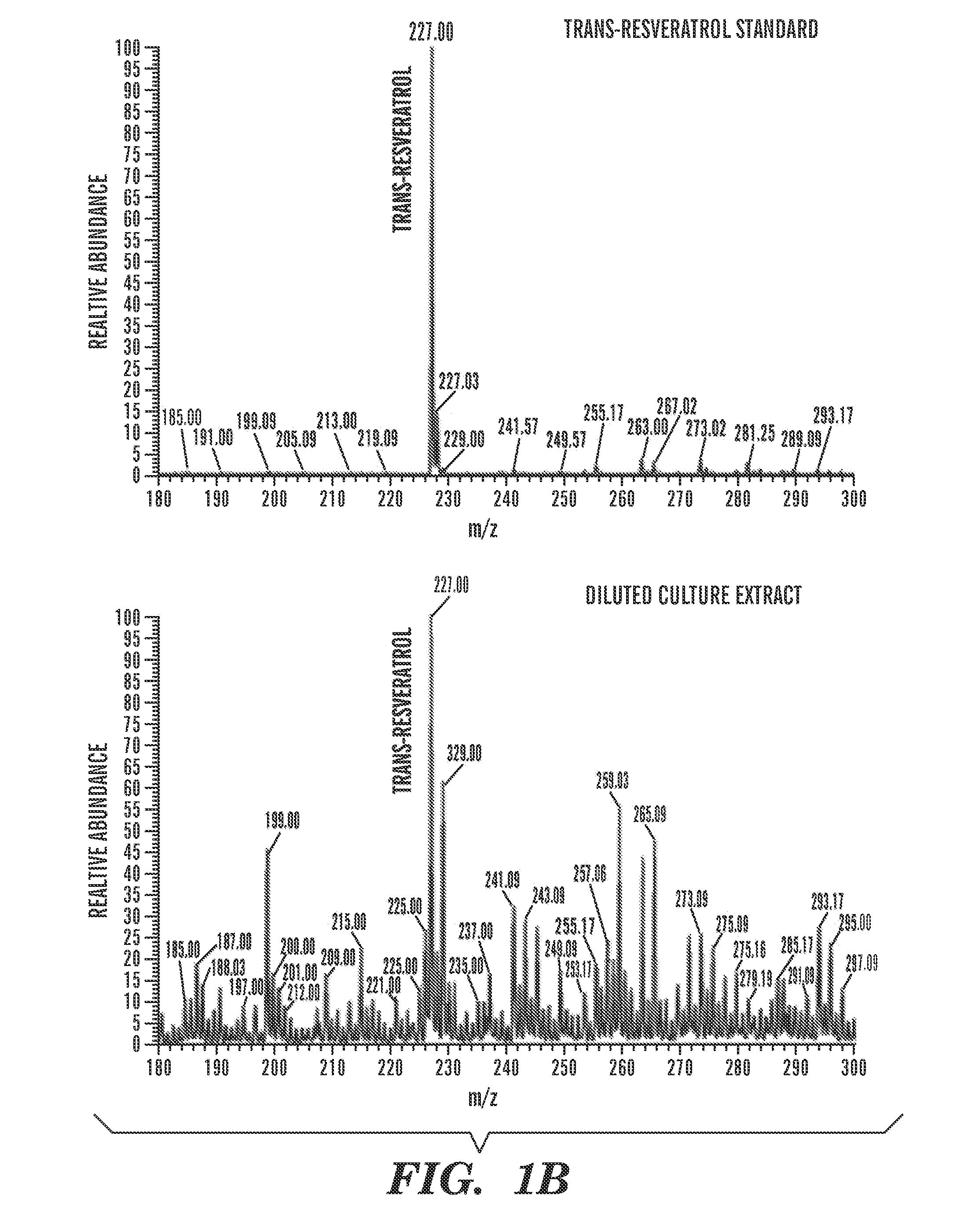 Constructs and methods for the assembly of biological pathways
