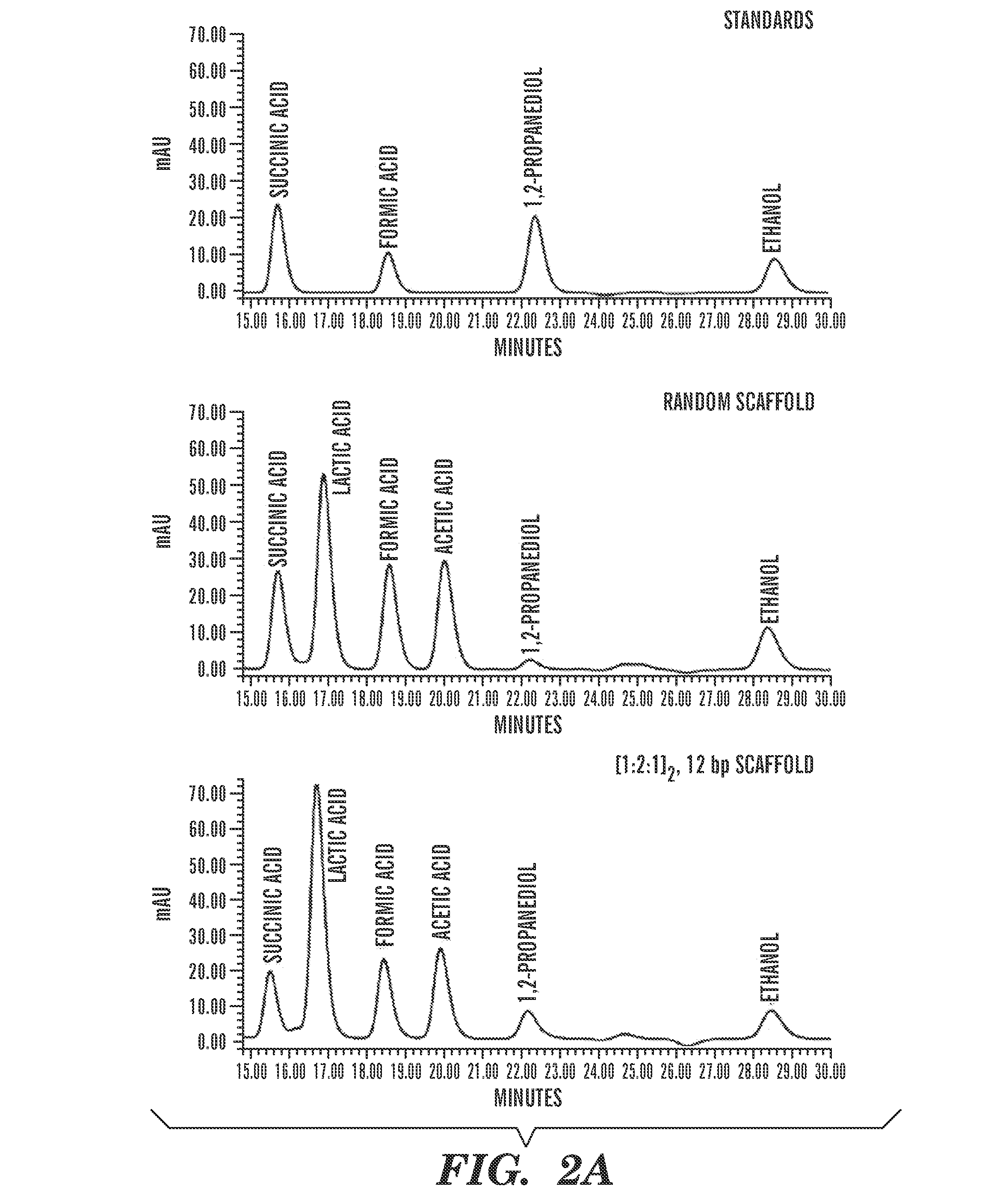 Constructs and methods for the assembly of biological pathways
