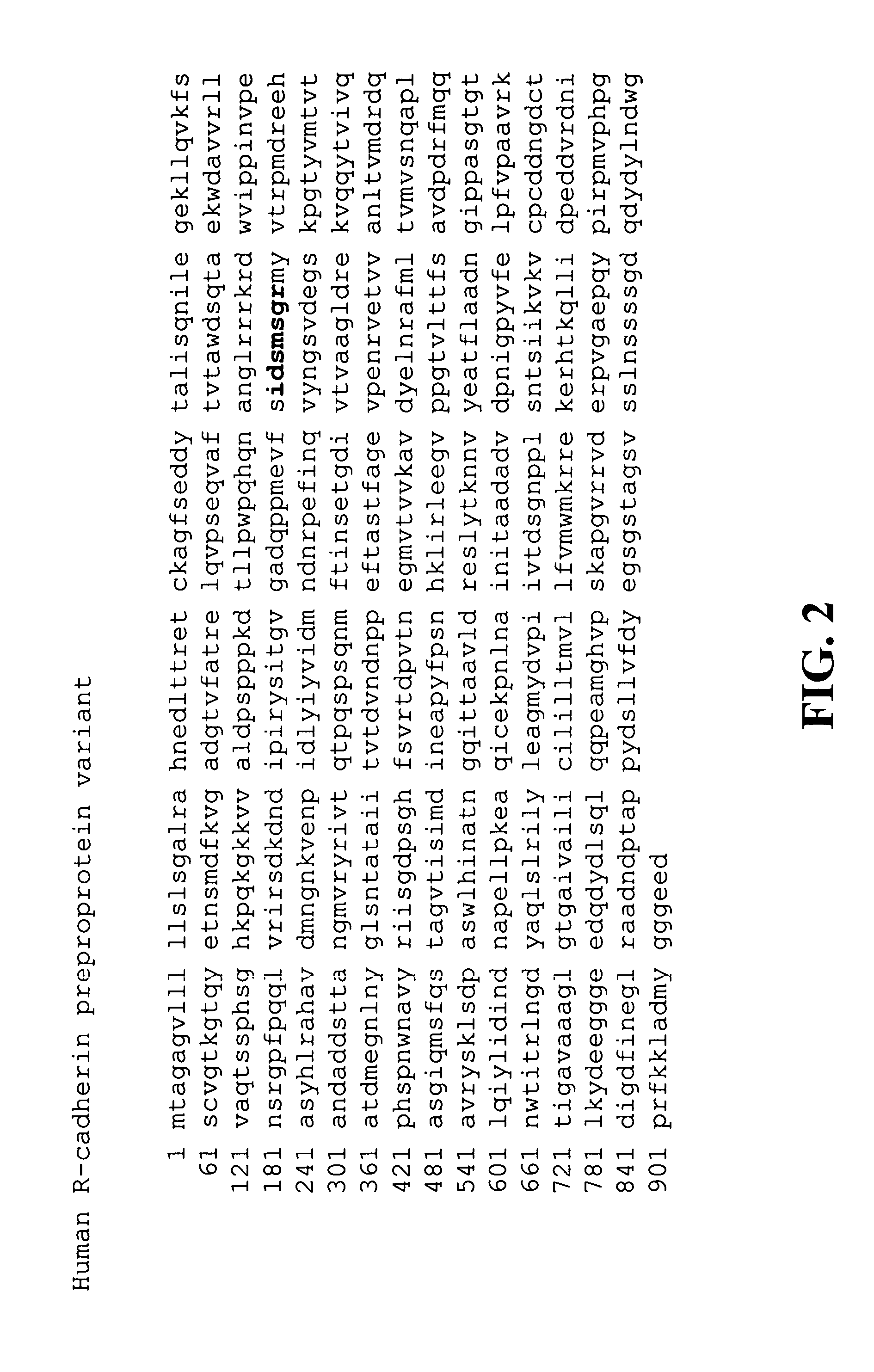 Selective R-cadherin antagonist and methods