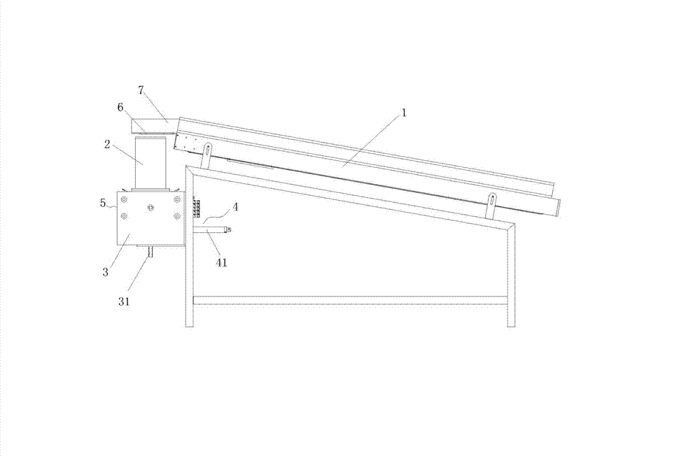 Pomelo packing machine