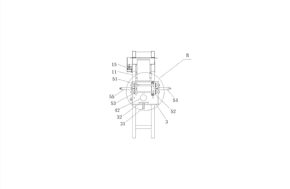 Pomelo packing machine