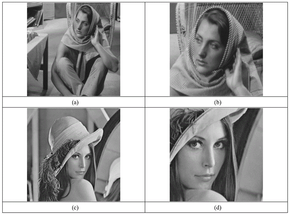 Nonconvex compressed sensing image reconstruction method based on local similarity and local selection