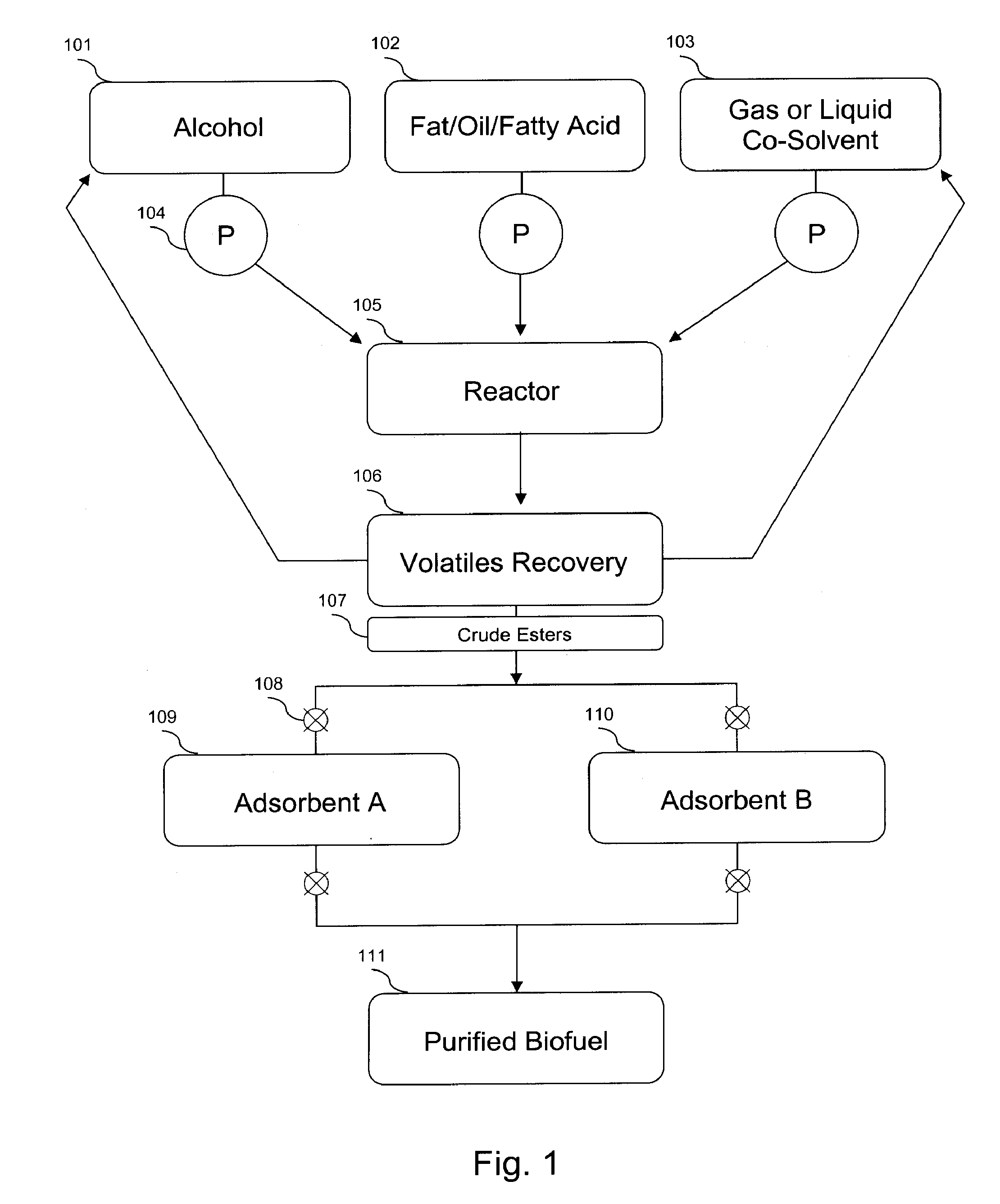 System for production and purification of biofuel