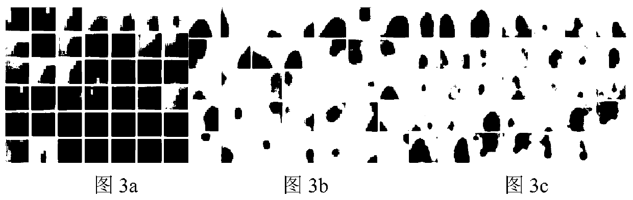 Motion Anomaly Detection Method Based on Hierarchical Independent Component Coding