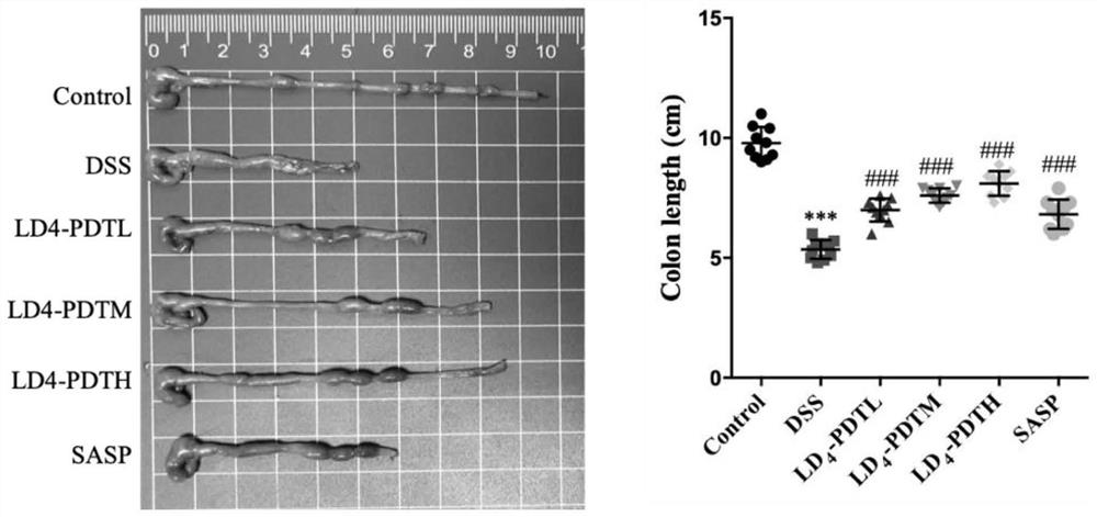 Application of amino acid modified amino tetraphenylporphyrin compound in prevention and treatment of fibrosis