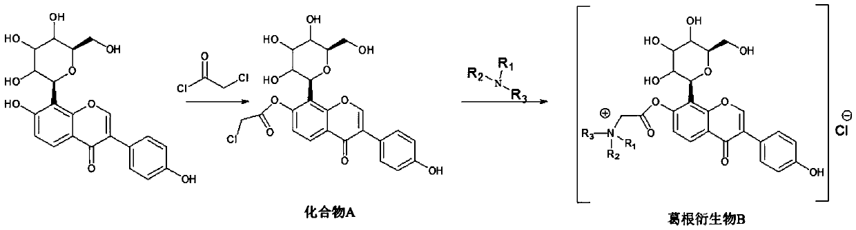 A kind of puerarin derivative b and its preparation method and application