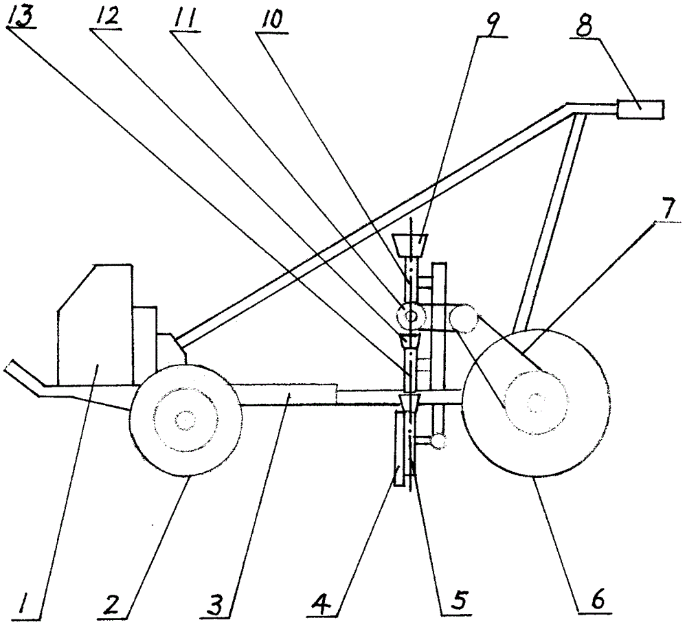 Vegetable seeder