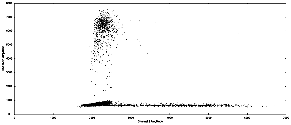 Primers, probes, kit and method for noninvasive prenatal diagnosis of Bart's hydrops syndrome based on droplet digital PCR