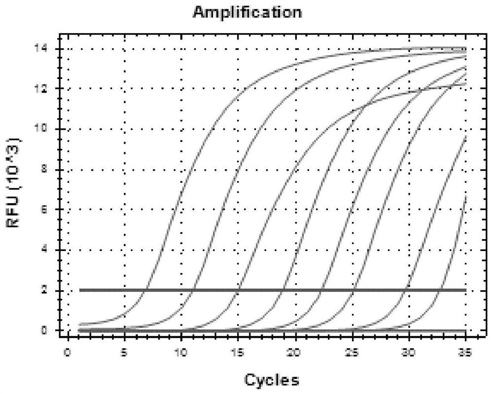 Real-time fluorescent quantitative PCR detection reagent for glandular stomach necrosis virus and application