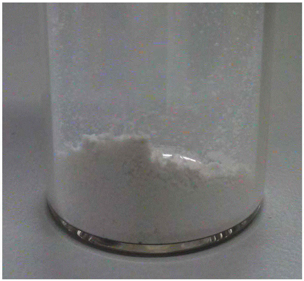 Boron nitride nanosheet powder and macro-quantity preparation method thereof