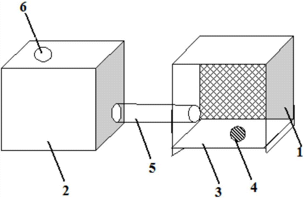 Device for comprehensively determining hazard extent of pesticide for pollinating bees and determination method