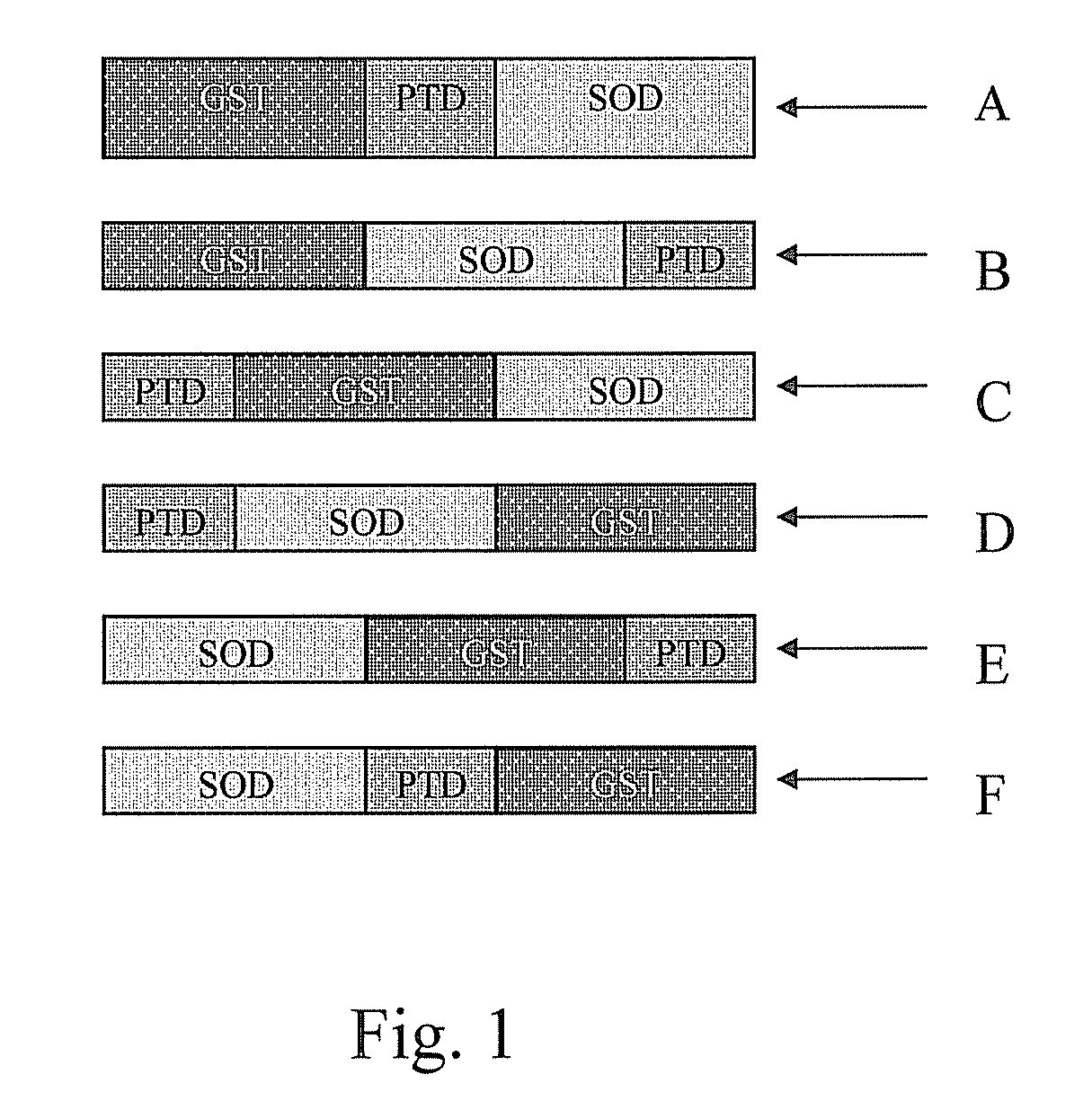 Fusion proteins and methods for treating HIV infection and aids related symptoms