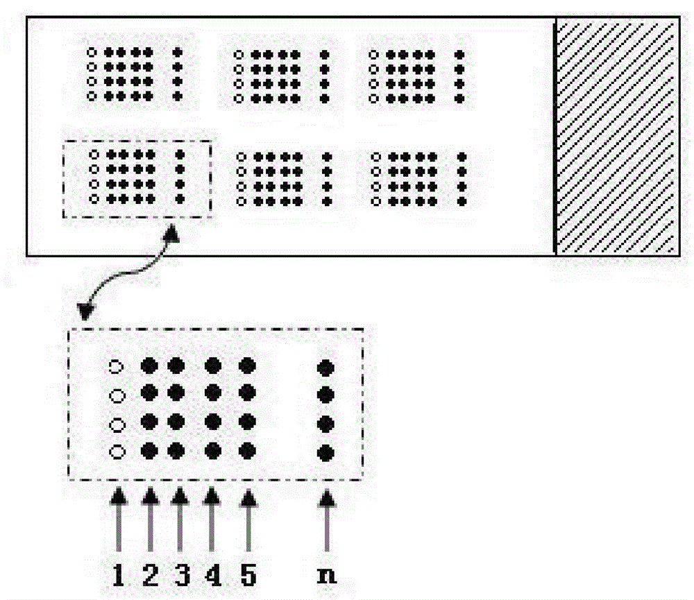 Pesticide and veterinary drug multi-residue detection method based on microarray detection chip