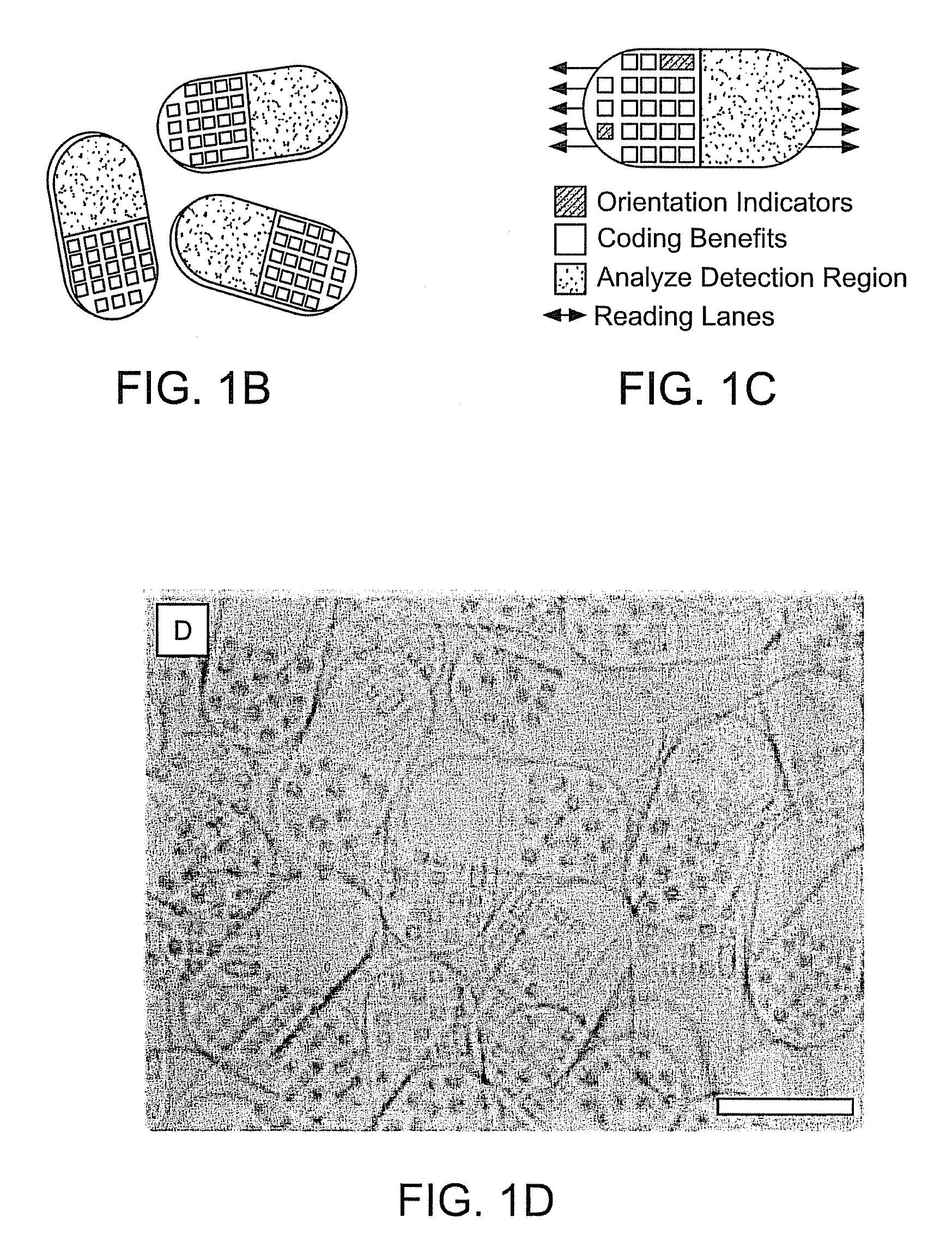 Multifunctional encoded particles for high-throughput analysis