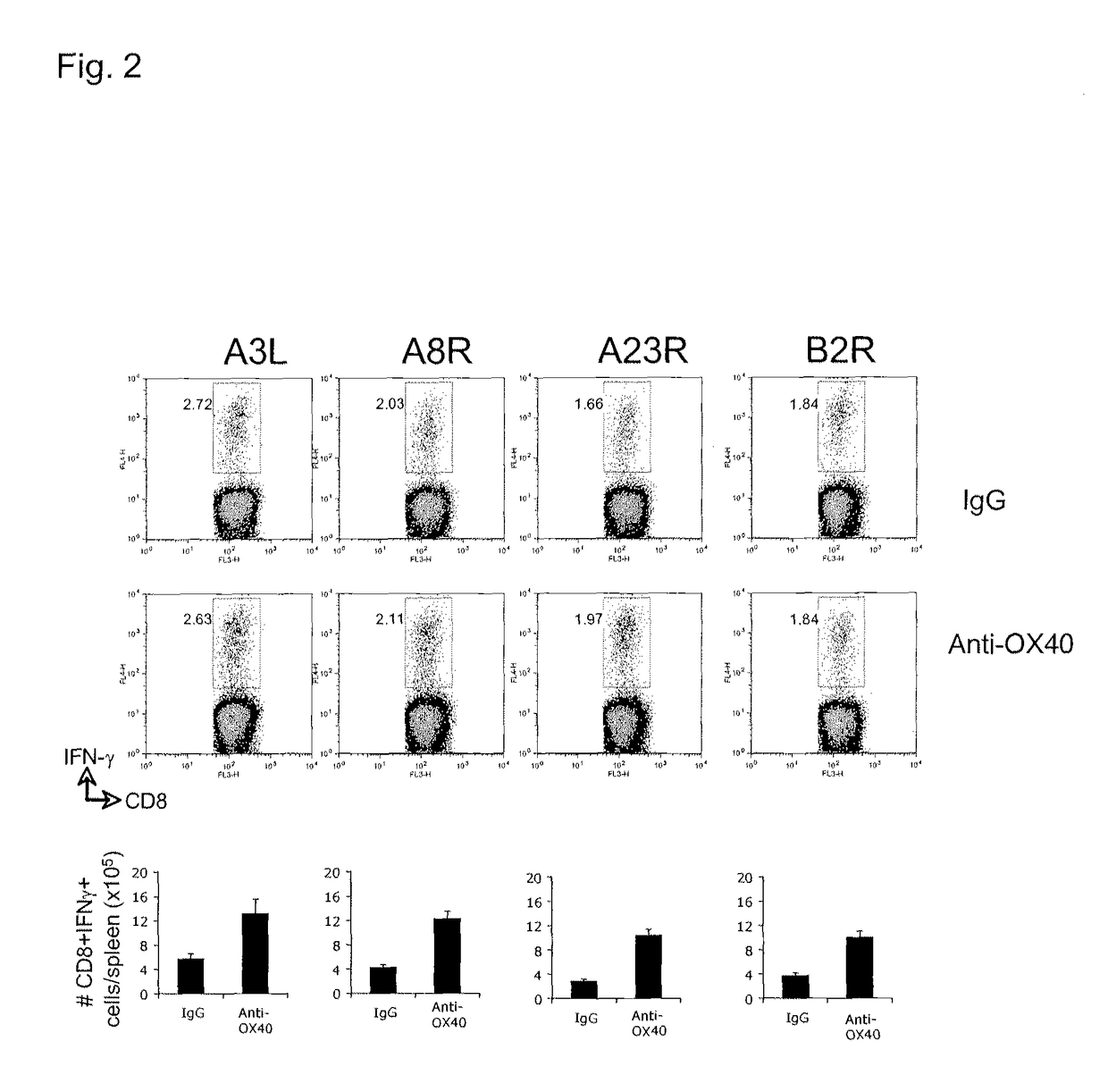 Virus vaccination and treatment methods with OX40 agonist compositions