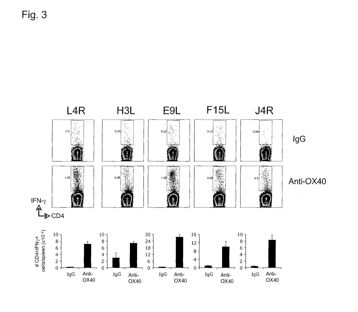 Virus vaccination and treatment methods with OX40 agonist compositions