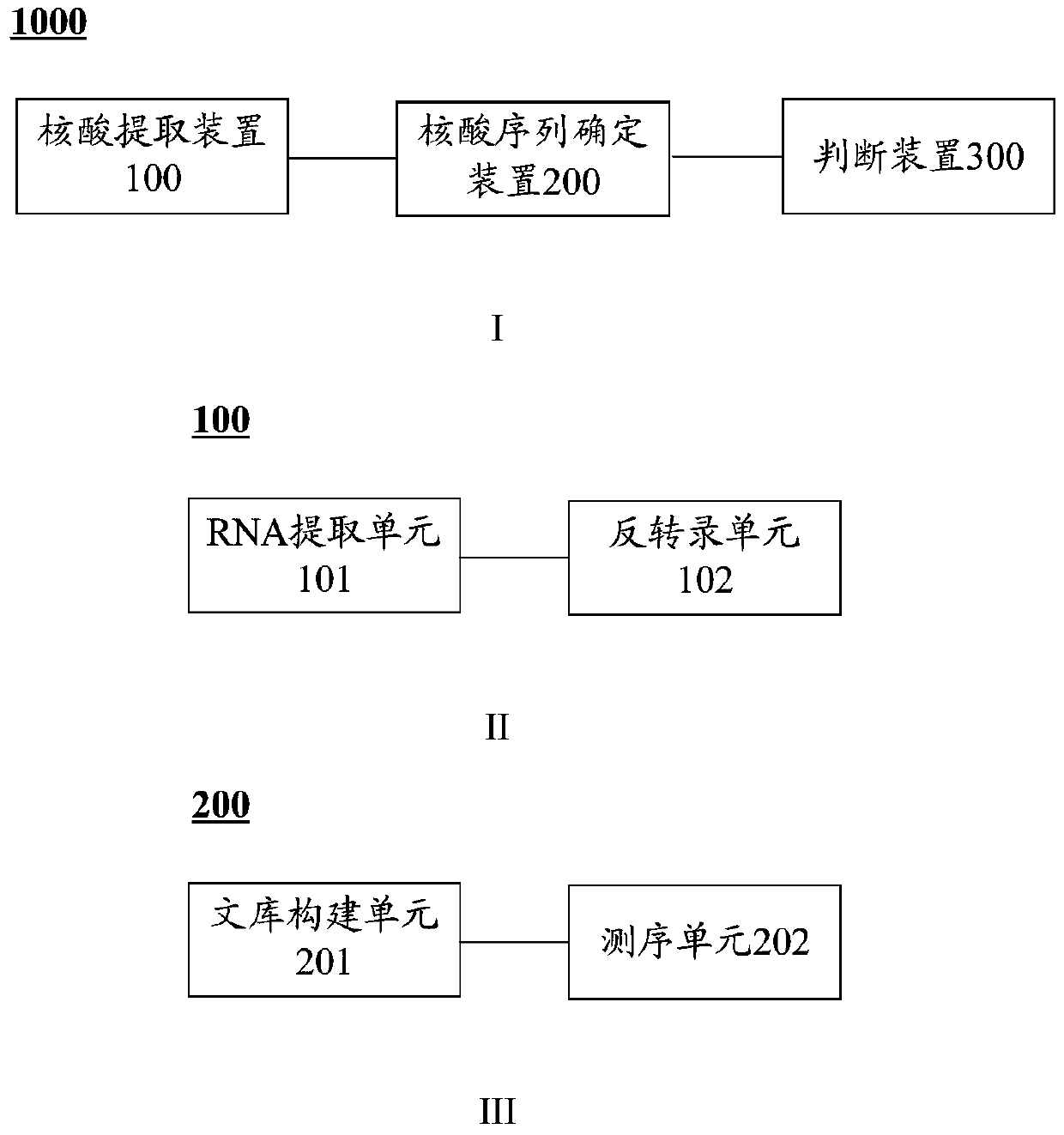 cyp4v2 gene mutant and its application