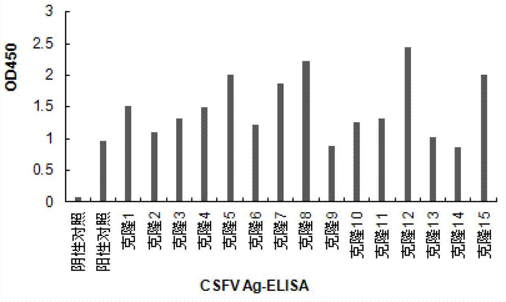 Recombinant cell line for stably expressing classical swine fever virus E2 protein, and applications of the same in preparation of subunit vaccines and diagnosis reagents of classical swine fever