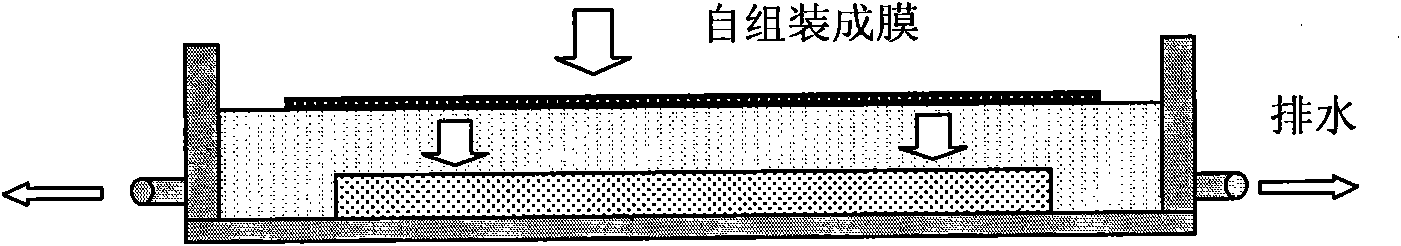 Suspension photoresist planarization technology for MEMS structure