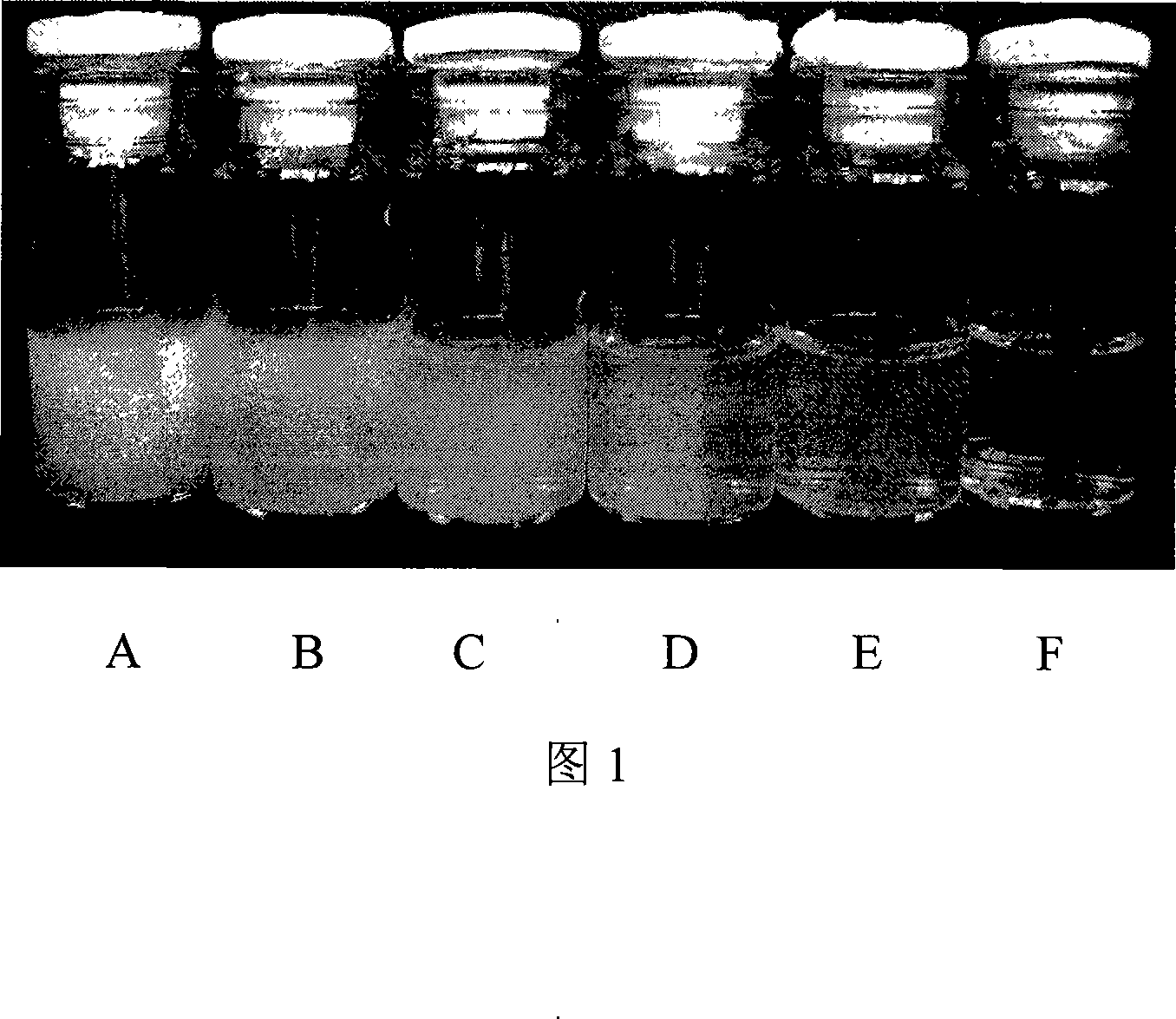 Method for preparing polymer nano micelle by water solution polymerization self-emulsification method