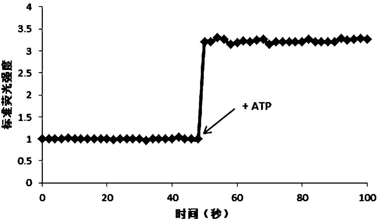 Drug-loaded ATP-sensitive liposome with tumor near-infrared fluorescence imaging function and preparation method thereof