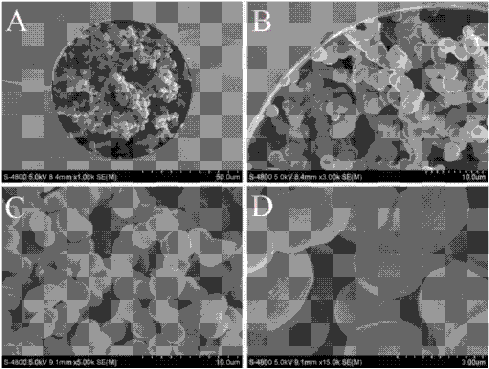 Histidine-modified organic-silica hybrid monolithic column, preparation method and application of monolithic column