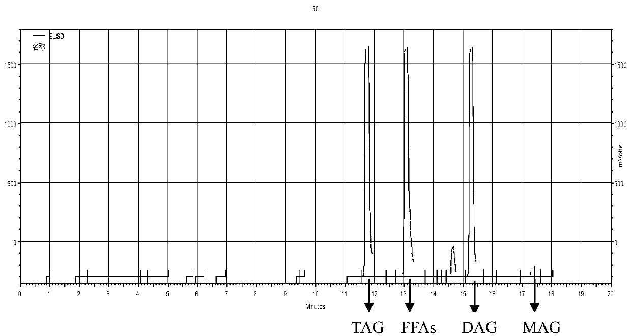 A kind of preparation method of enzyme-catalyzed diglyceride