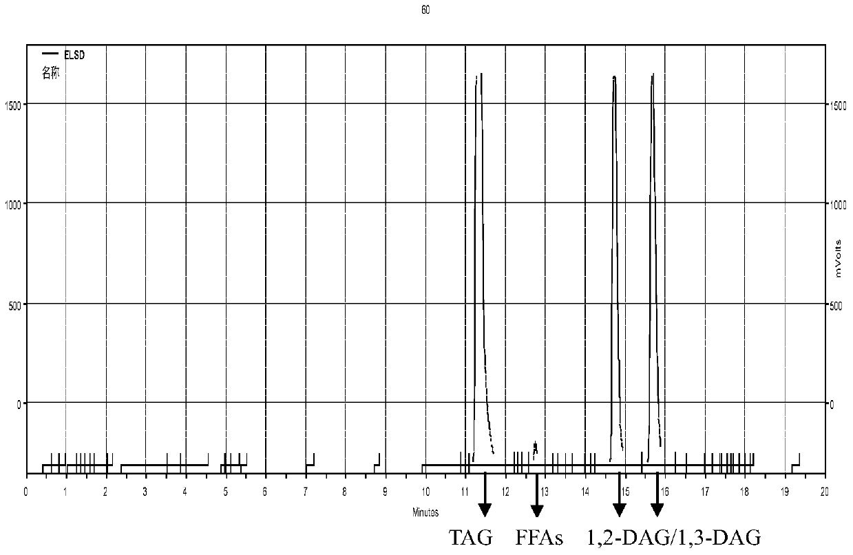 A kind of preparation method of enzyme-catalyzed diglyceride