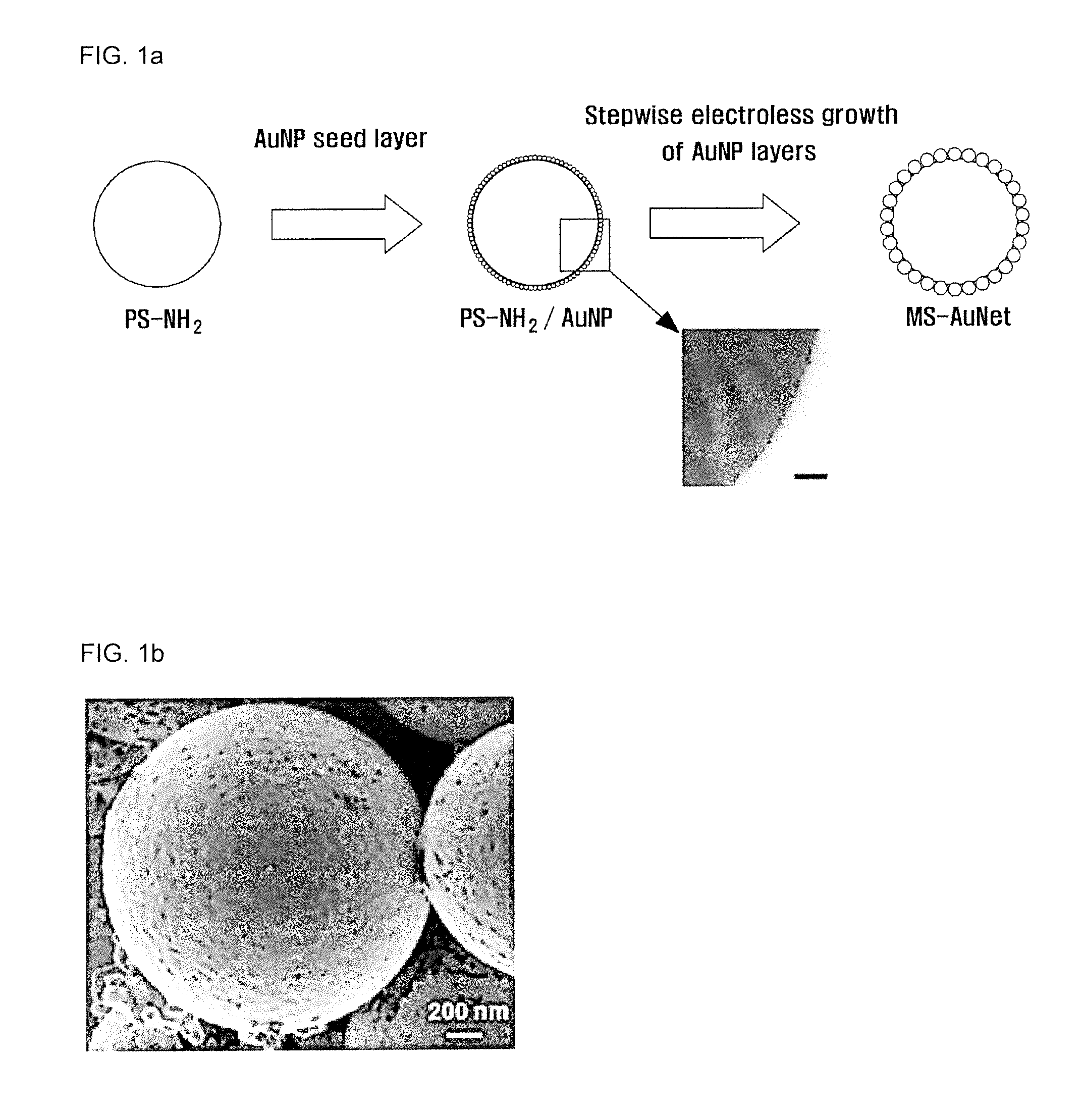 Hybrid microprobe for electrochemical and sers monitoring, scanning and feedback stimulation and the preparation method thereof