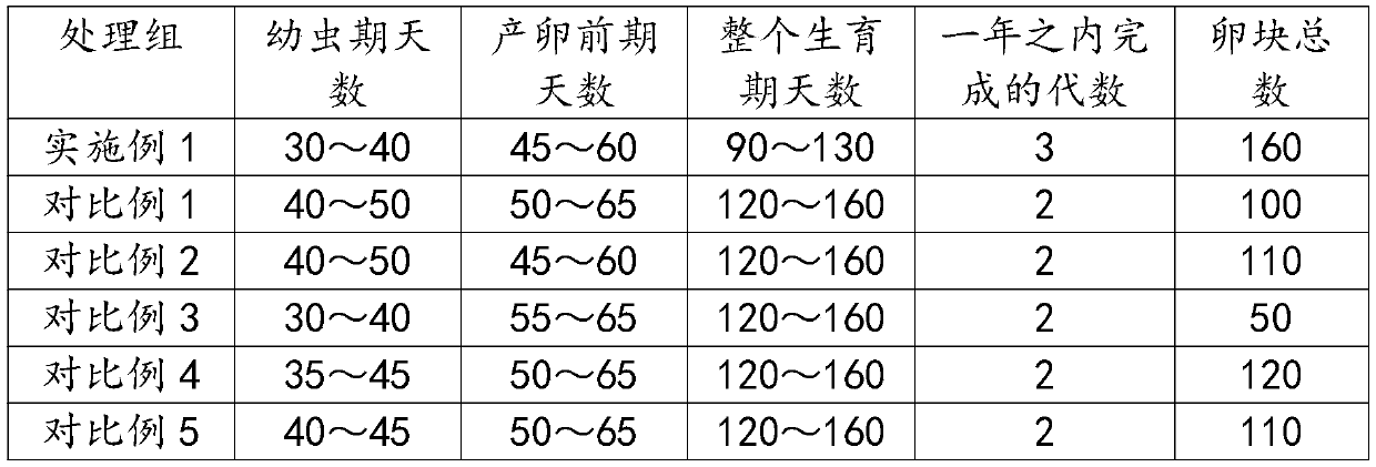 Method for breeding ceracris kiangsu tsai