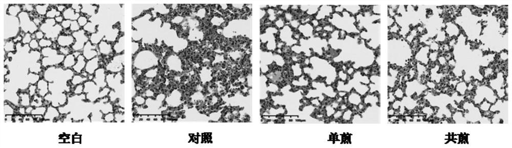 Quality evaluation method for traditional Chinese medicine single-decoction merged substances and application of quality evaluation method