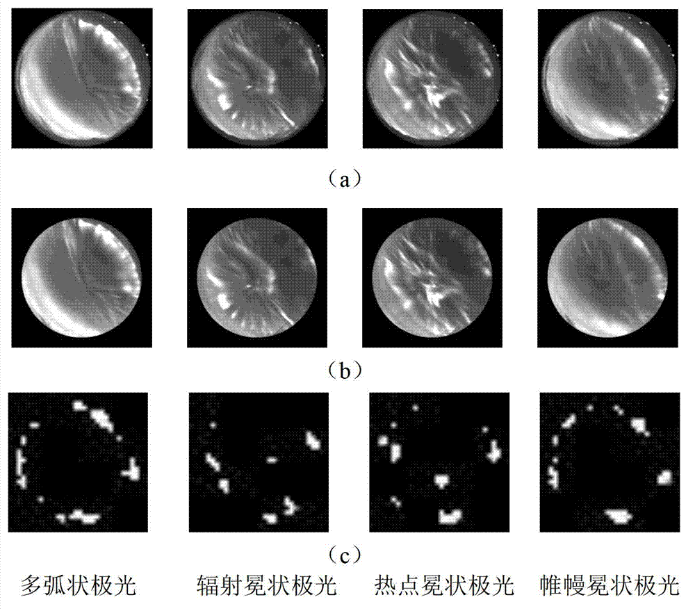 Aurora image classification method based on biological stimulation characteristic and manifold learning