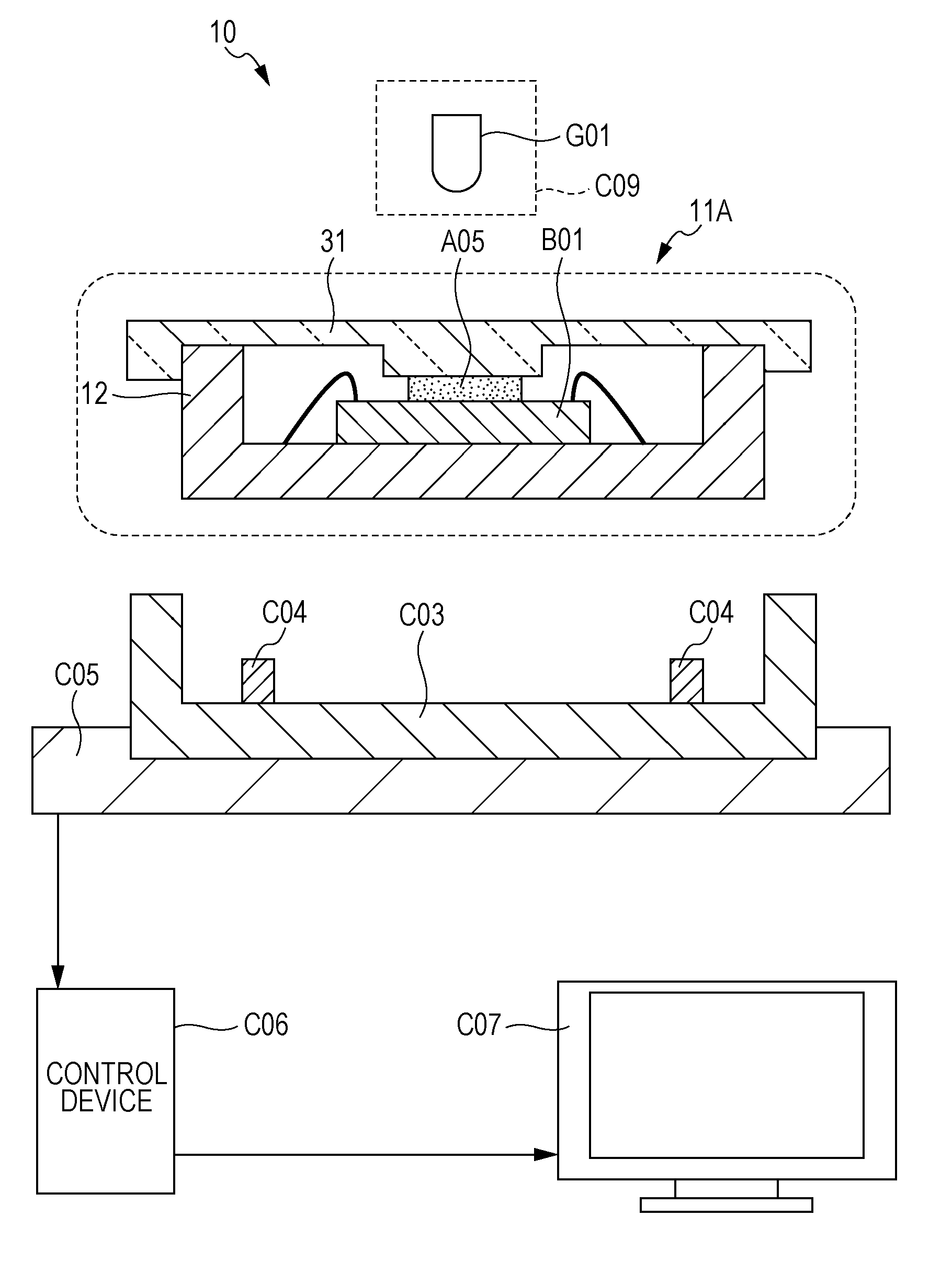 Preparation, transparent plate, method for producing preparation, slide ...