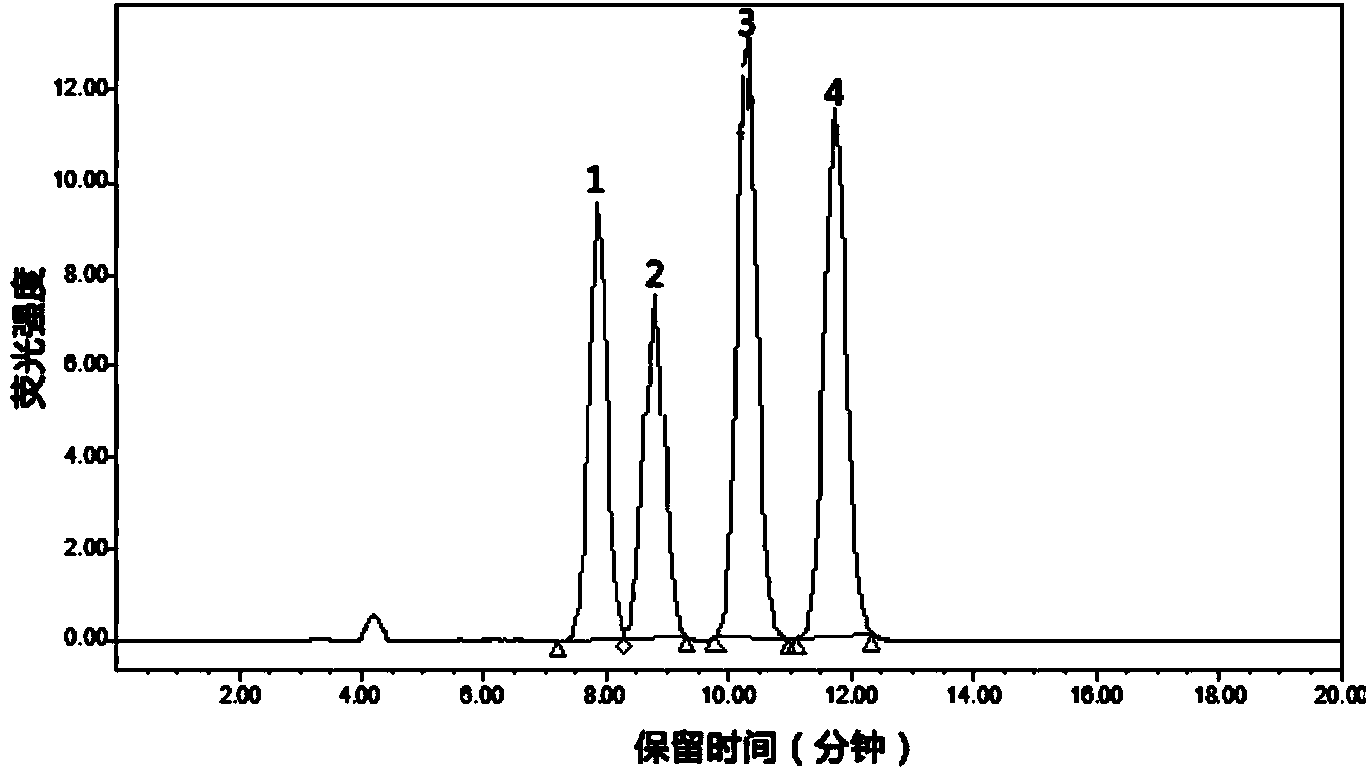 Primer for identifying whether aspergillus flavus strain produces aflatoxin or not and application thereof