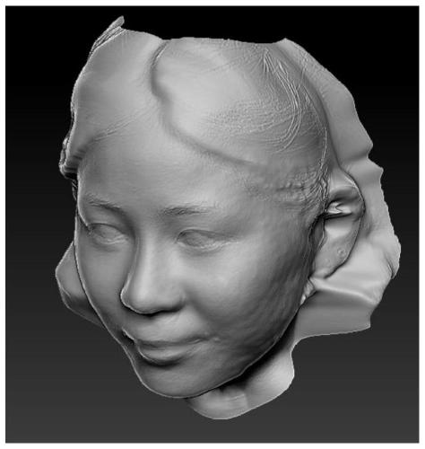 Analog simulation method for facial plastic surgery