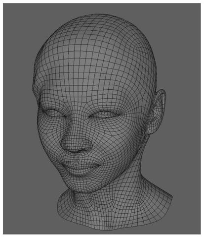 Analog simulation method for facial plastic surgery
