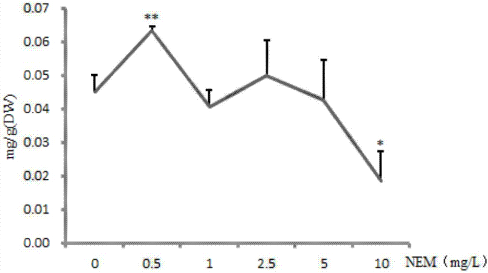 Method for promoting accumulation of salvia miltiorrhiza hairy root rosmarinic acid