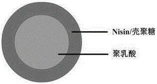 Method for preparing Nisin/chitosan/polylactic acid composite nanofiber mats by coaxial electrospinning