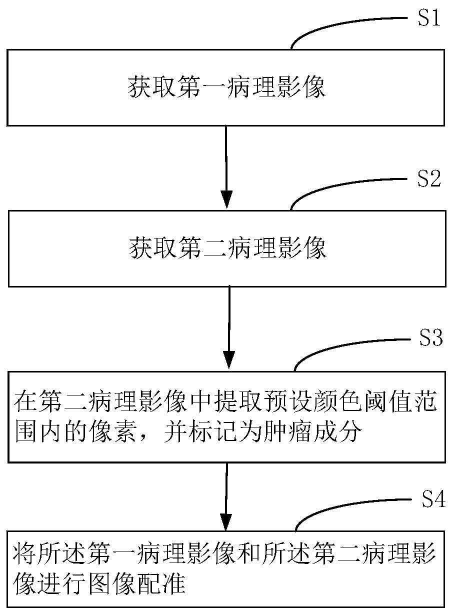 Tumor component labeling method, device and equipment and storage medium