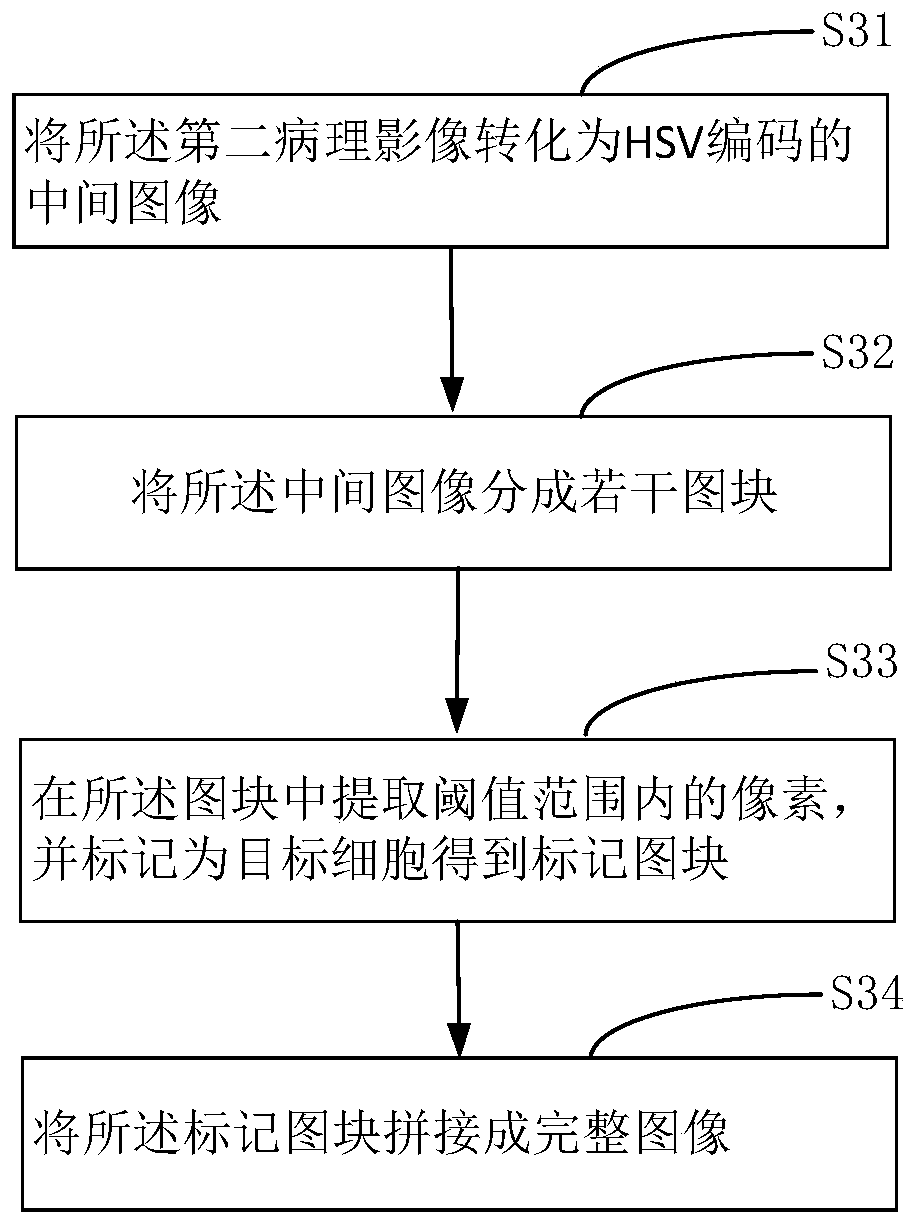 Tumor component labeling method, device and equipment and storage medium