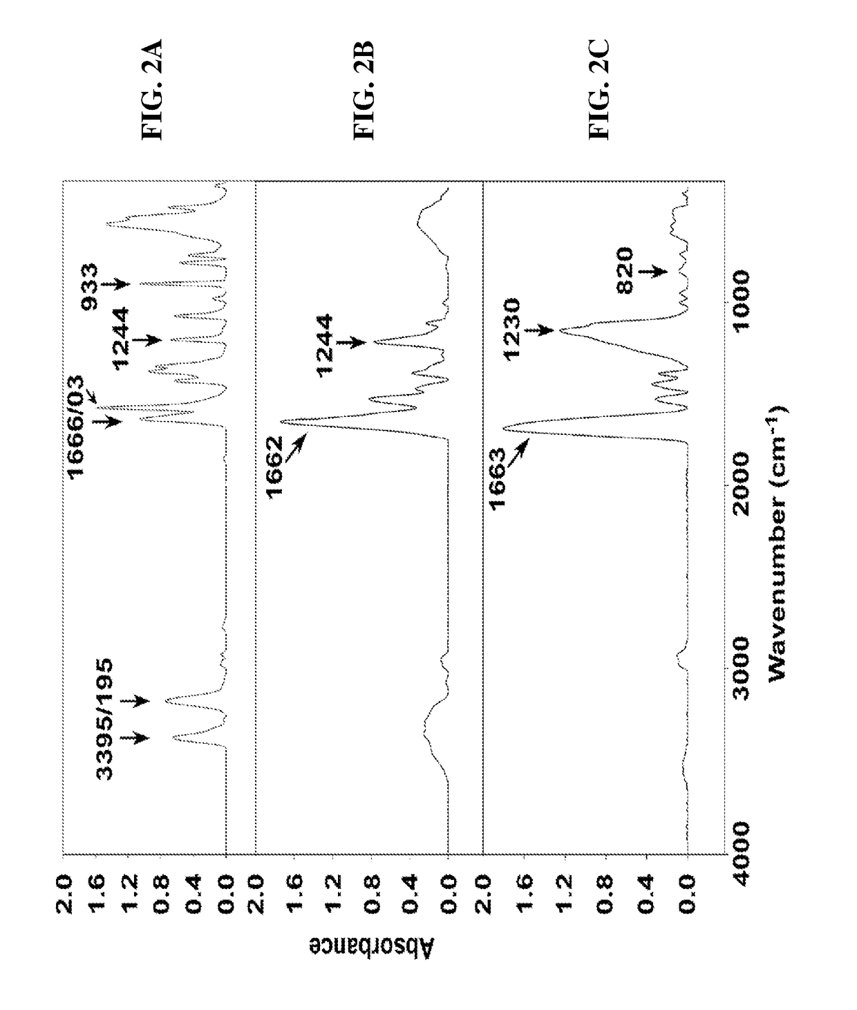 Polyamide nanoparticles and uses thereof