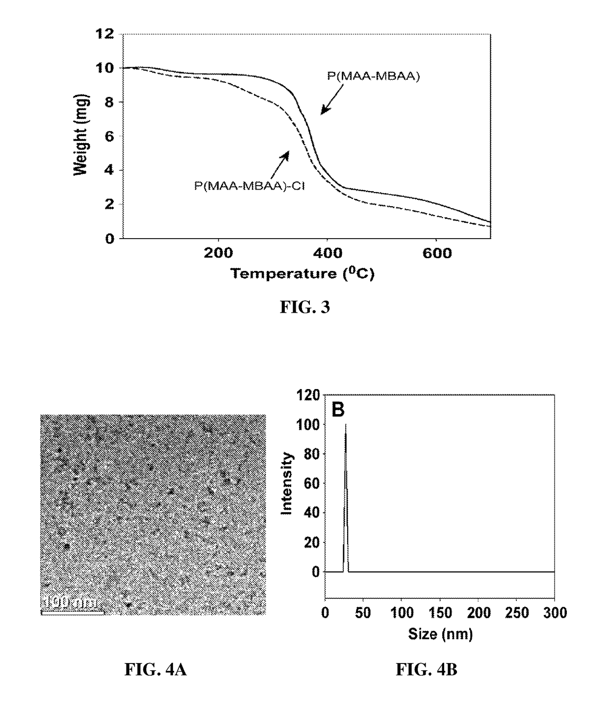 Polyamide nanoparticles and uses thereof